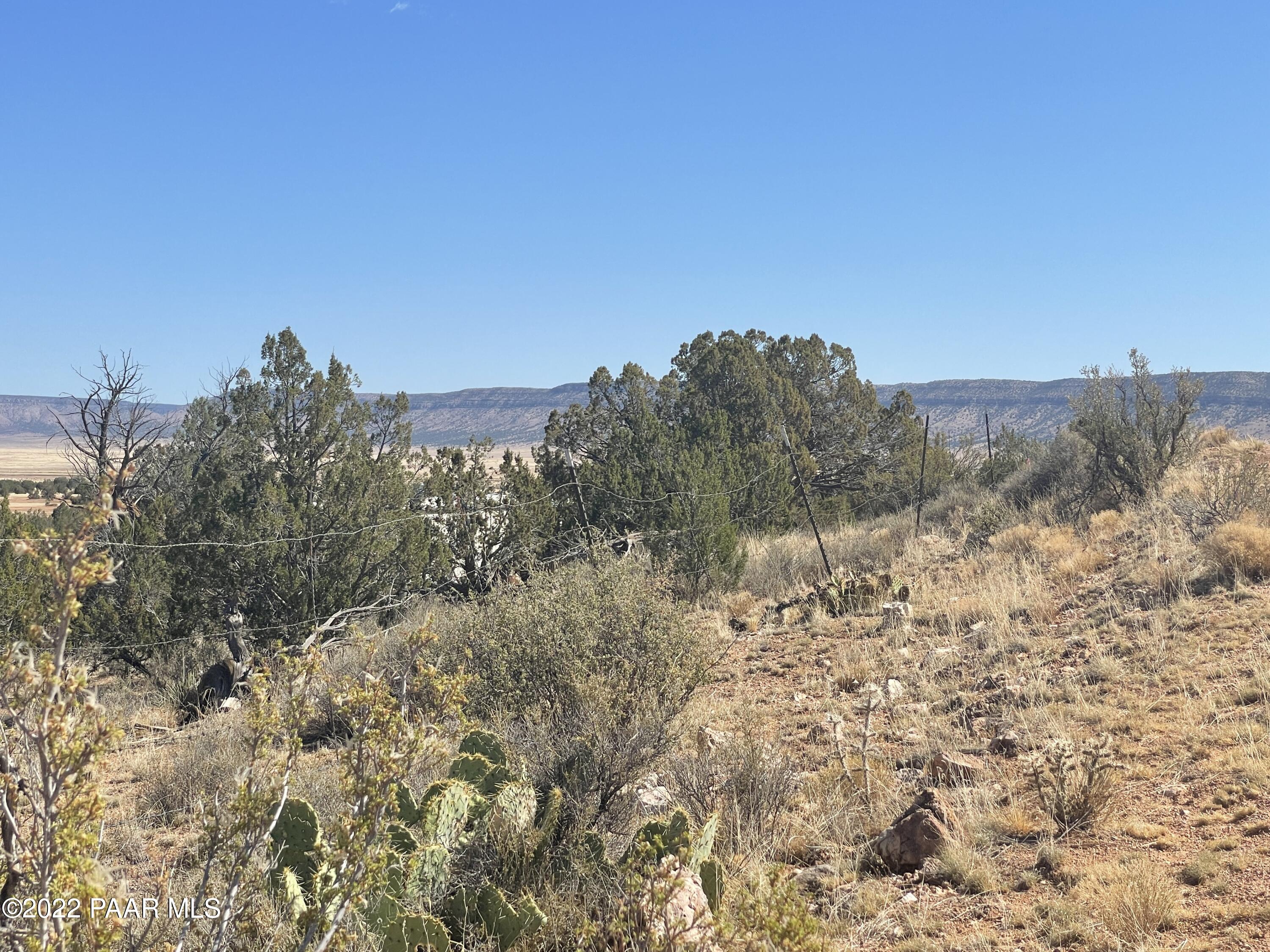 56760 Agave Road Seligman, AZ 86337 - Photo 8 of 12 IMG_3117