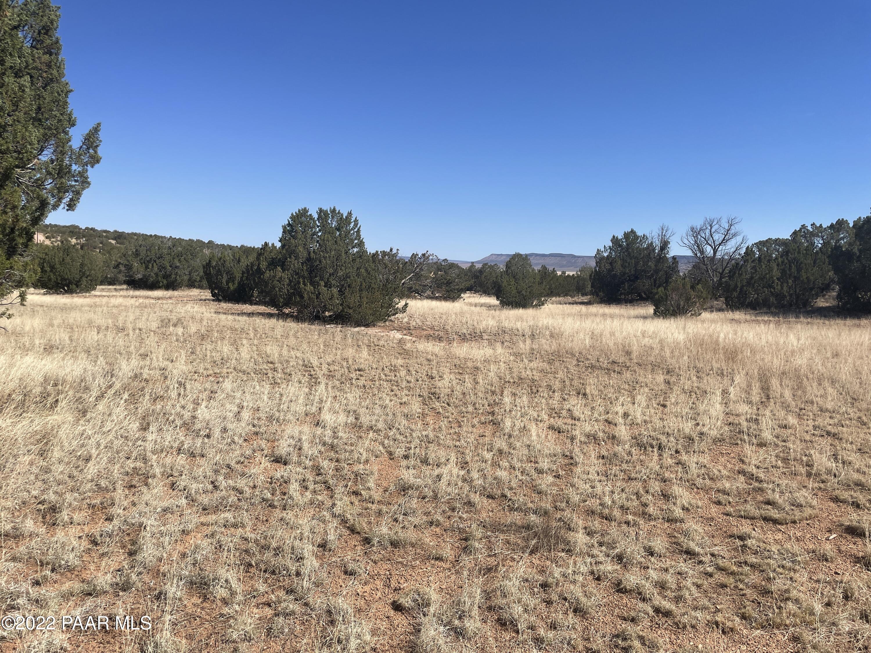 56760 Agave Road Seligman, AZ 86337 - Photo 9 of 12 IMG_3118