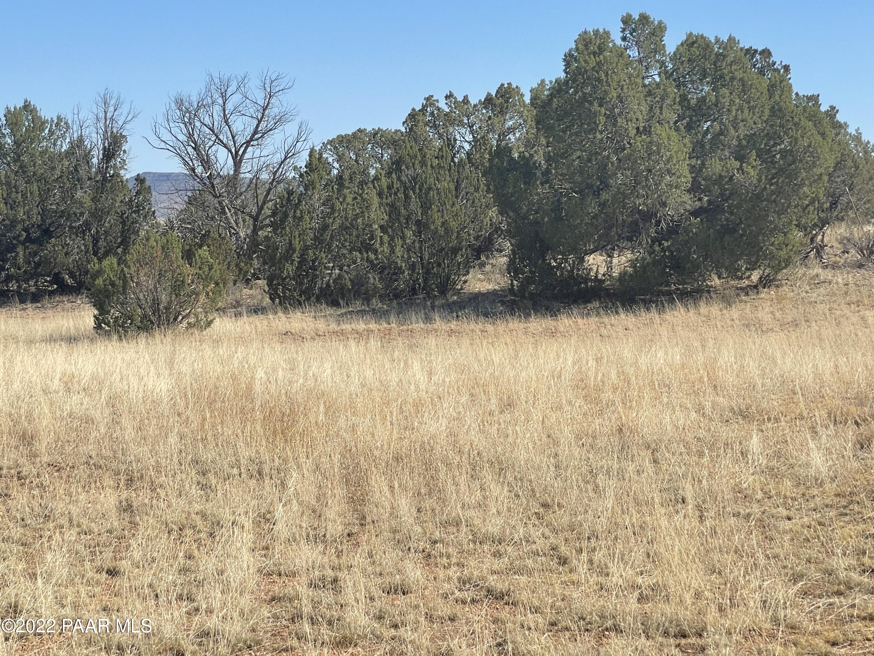 56760 Agave Road Seligman, AZ 86337 - Photo 10 of 12 IMG_3120