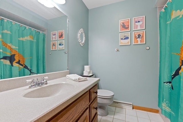 728 Schoolgate Road New Lenox, IL 60451 - Photo 15 of 24 a bathroom with a sink and a mirror