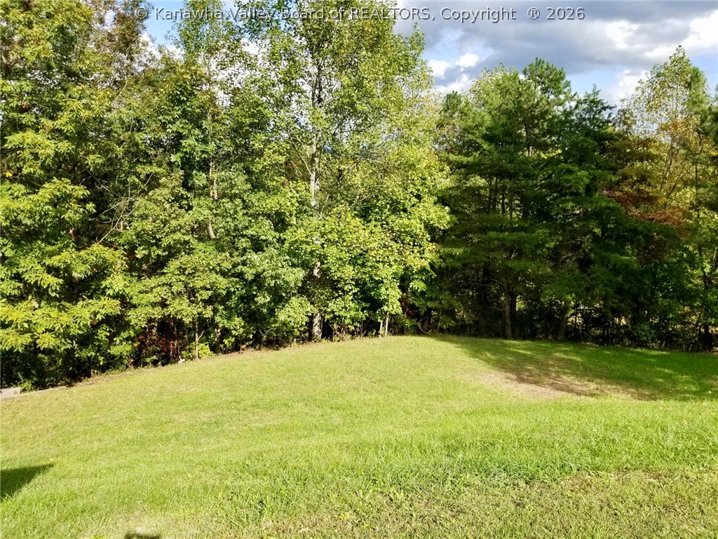 358 Chestnut Ridge Road Mount Alto, WV 25264 - Photo 12 of 29 Gallery Image 12