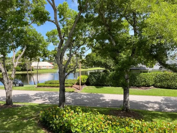 a view of a park with tree s
