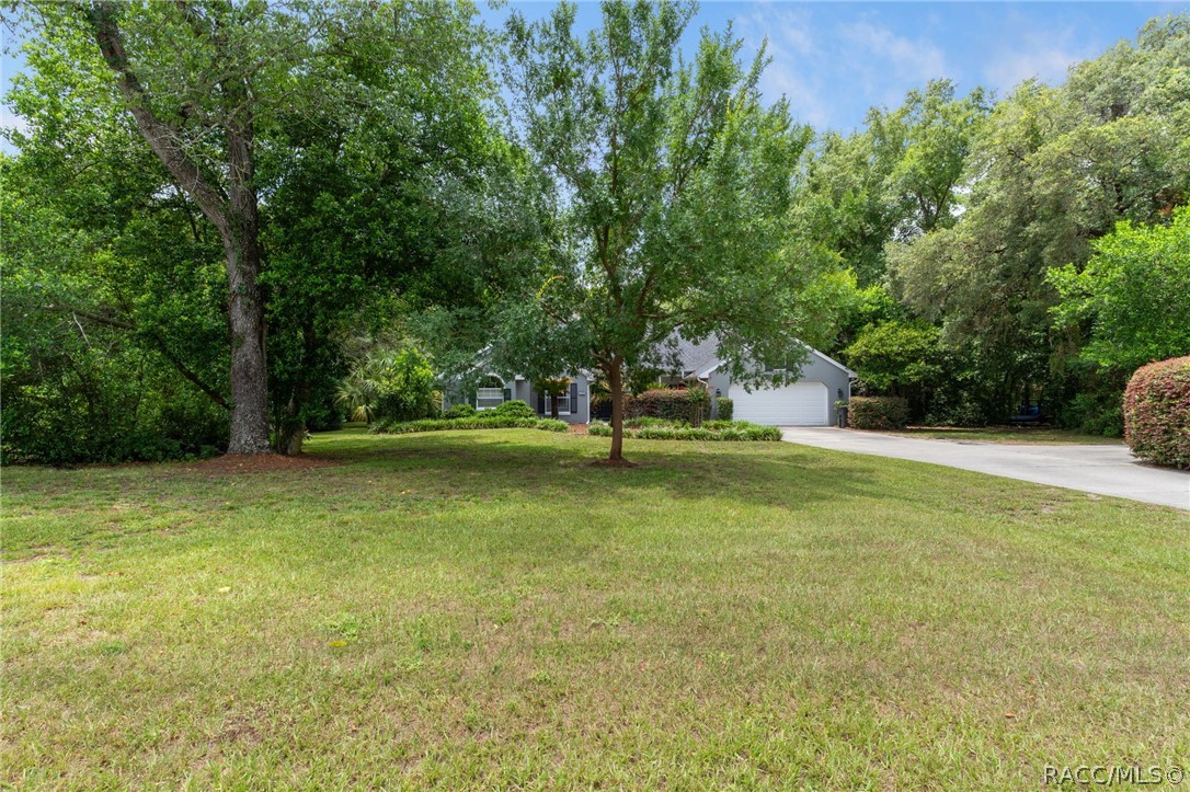 2460 West Pine Ridge Boulevard Beverly Hills, FL 34465 - Photo 45 of 47 a view of a park with trees
