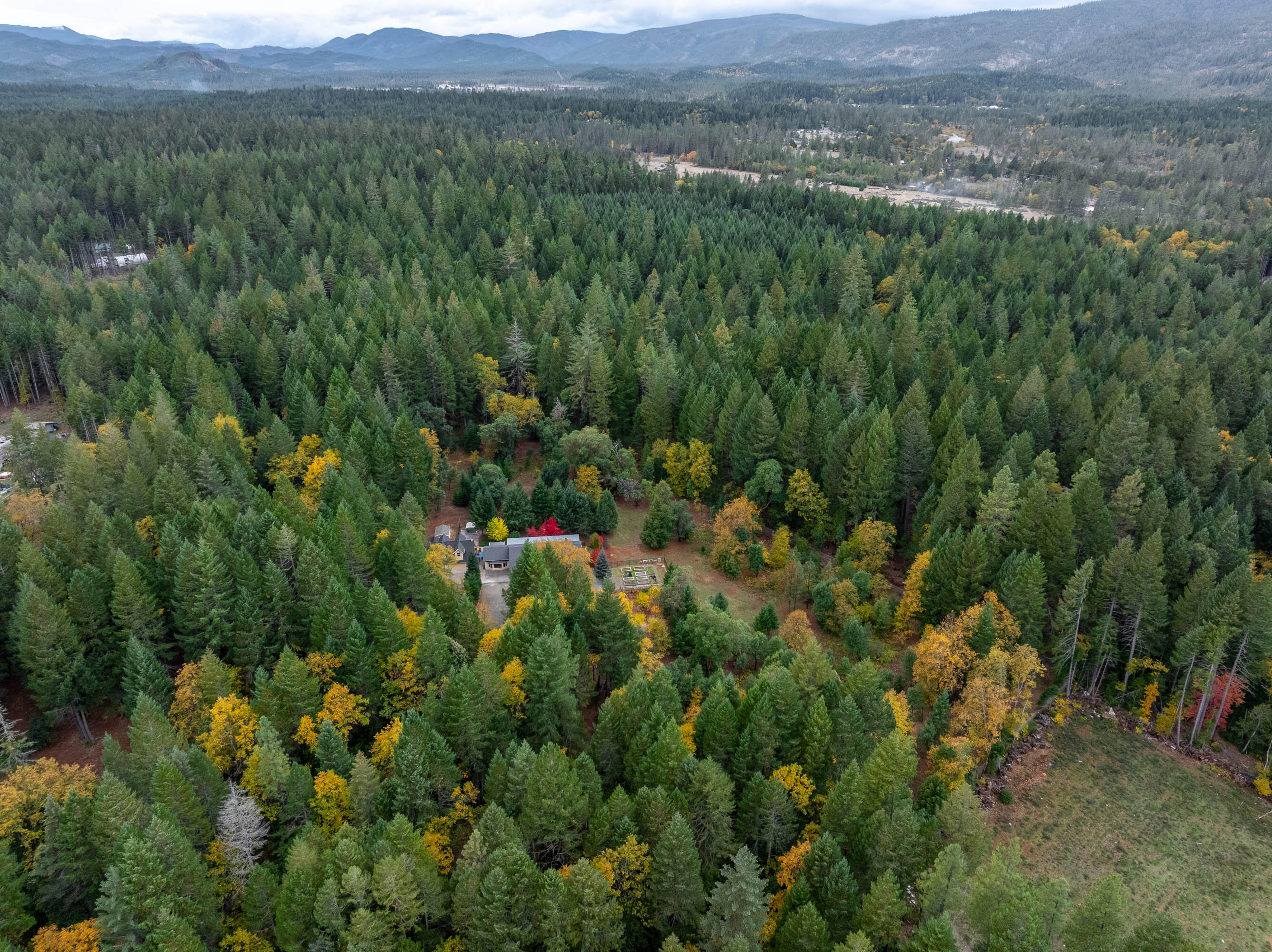 335 Cornett Lane Cave Junction, OR 97523 - Photo 50 of 55 DRONE (8 of 8)