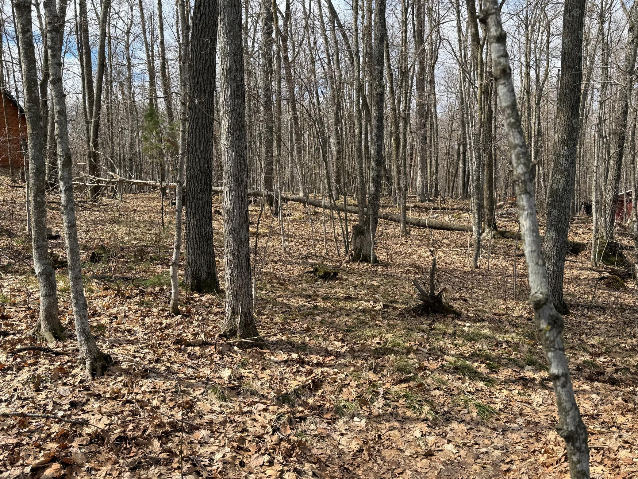 Tbd Ripley Spur Road Sarona, WI 54870 - Photo 24 of 28