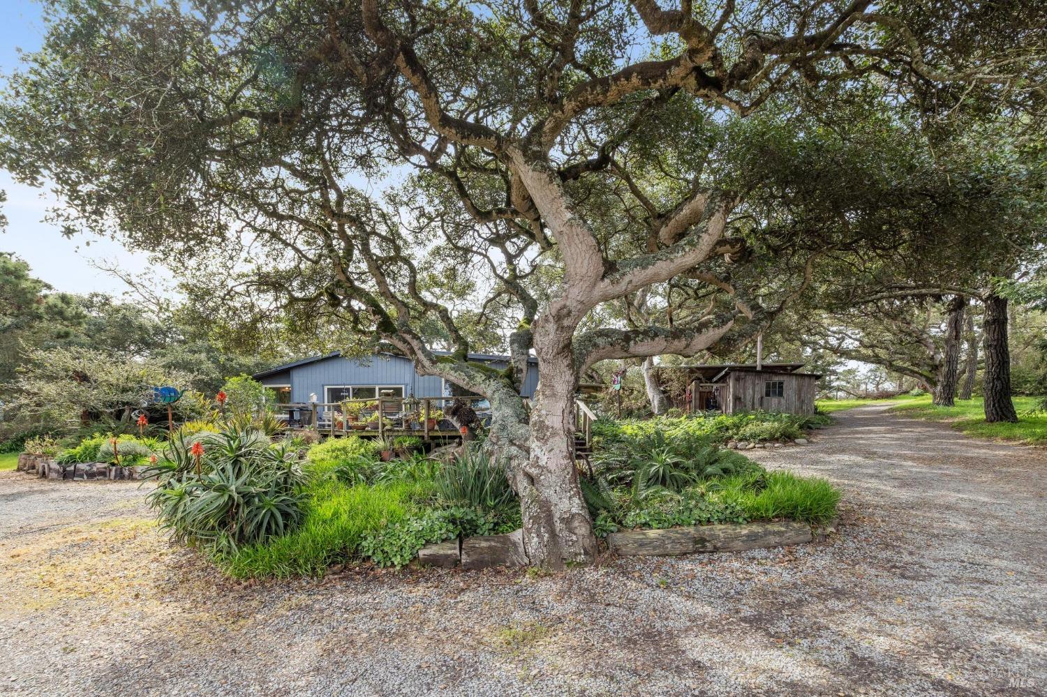 1208 Pierce Point Road Inverness, CA 94937 - Photo 49 of 89