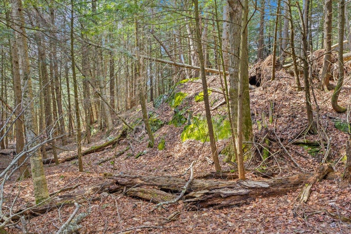 Lot 3 Hemlock Ridge Westford, VT 05494 - Photo 14 of 24