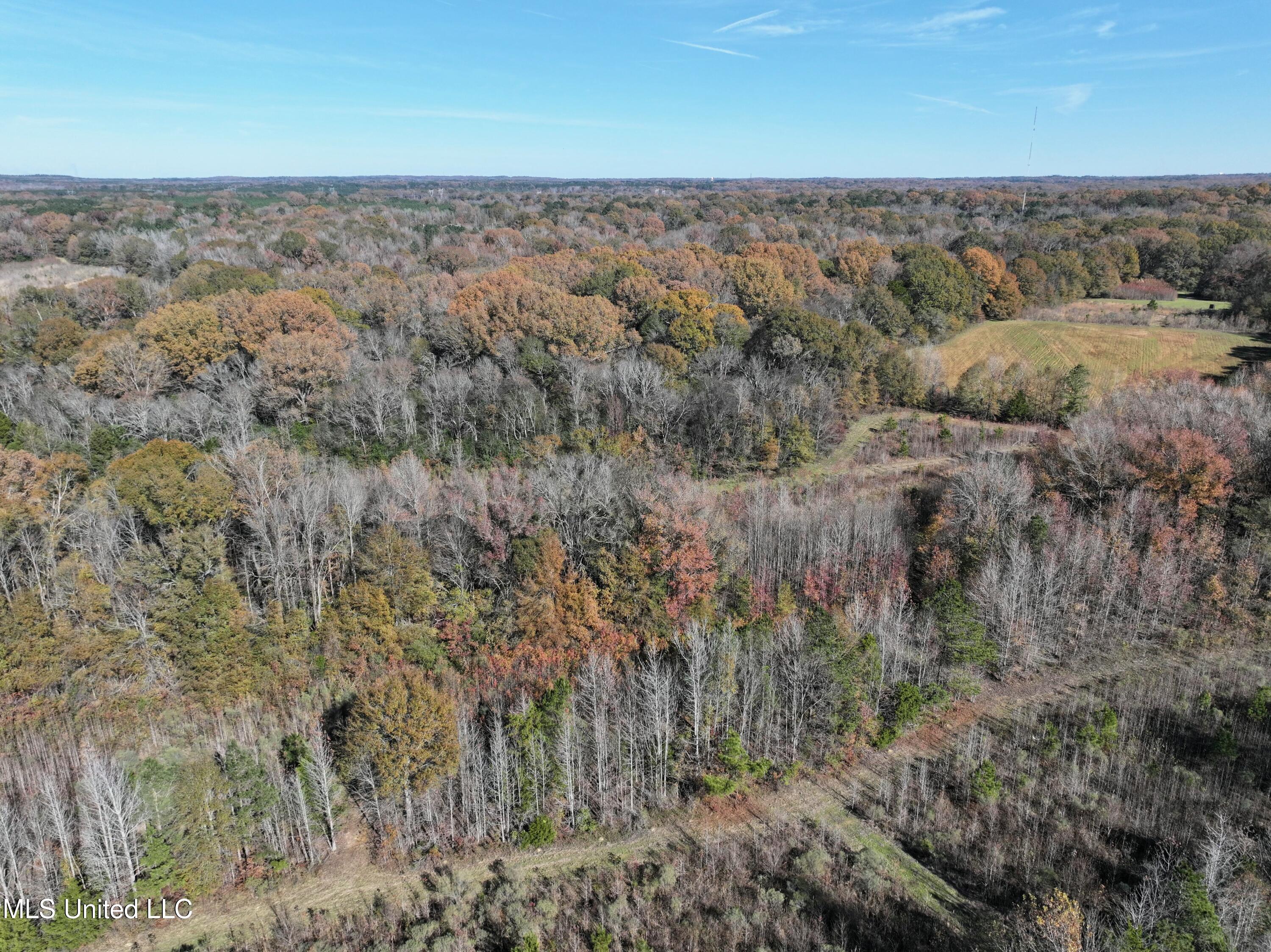 Lanewood Road Jackson, MS 39213 - Photo 54 of 58 tempImageE8Pb8h