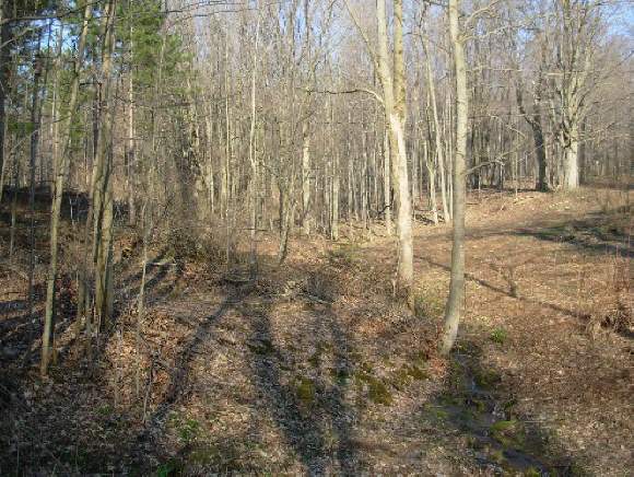 74 Cornelius Road Freeville, NY 13068 - Photo 1 of 5 Gallery Image 1
