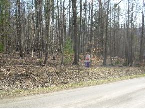74 Cornelius Road Freeville, NY 13068 - Photo 4 of 5 Gallery Image 4