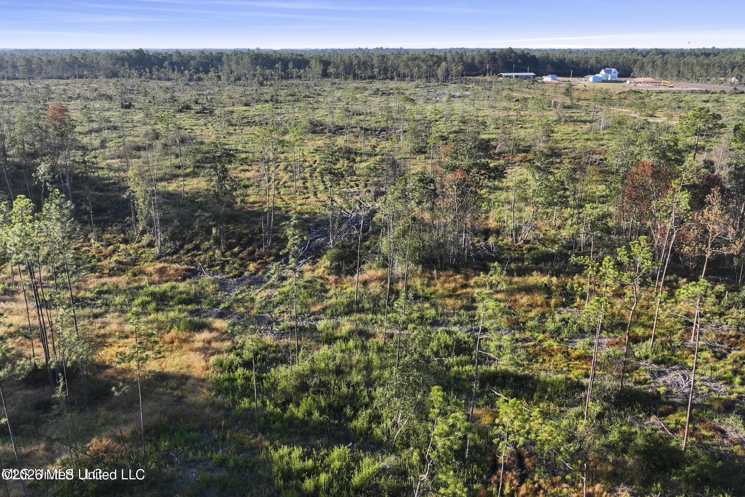 Jim Ramsay Road Vancleave, MS 39565 - Photo 19 of 21 20250110145052784627000000-o