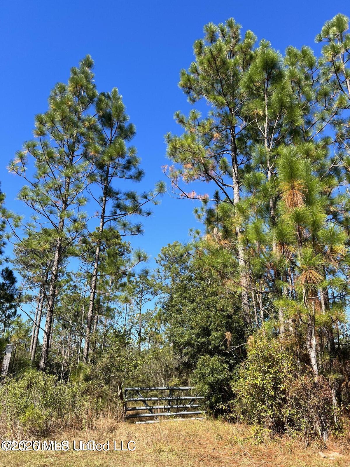 Jim Ramsay Road Vancleave, MS 39565 - Photo 21 of 21 20250110145217138360000000-o