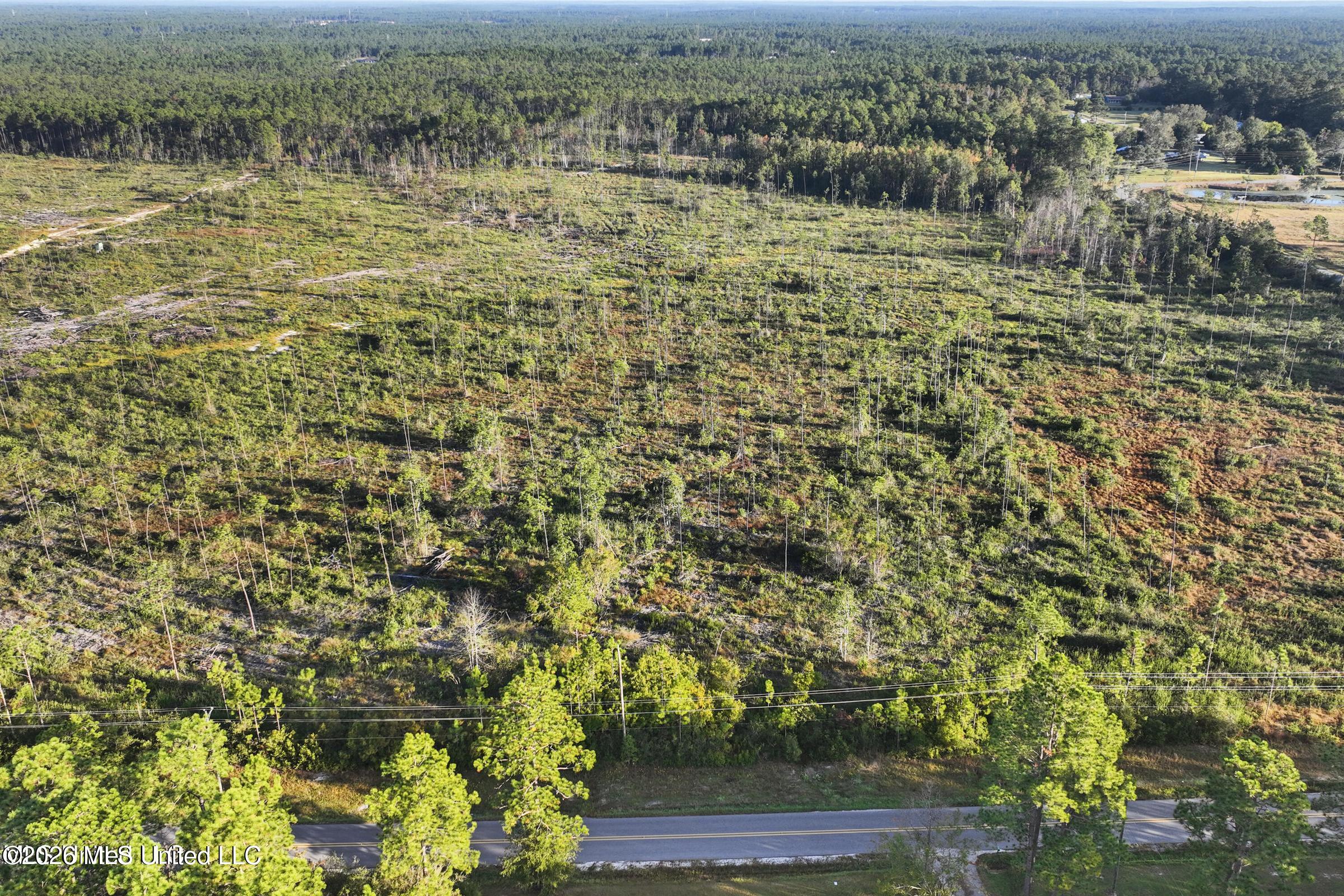 Jim Ramsay Road Vancleave, MS 39565 - Photo 6 of 21 20250110145015063174000000-o