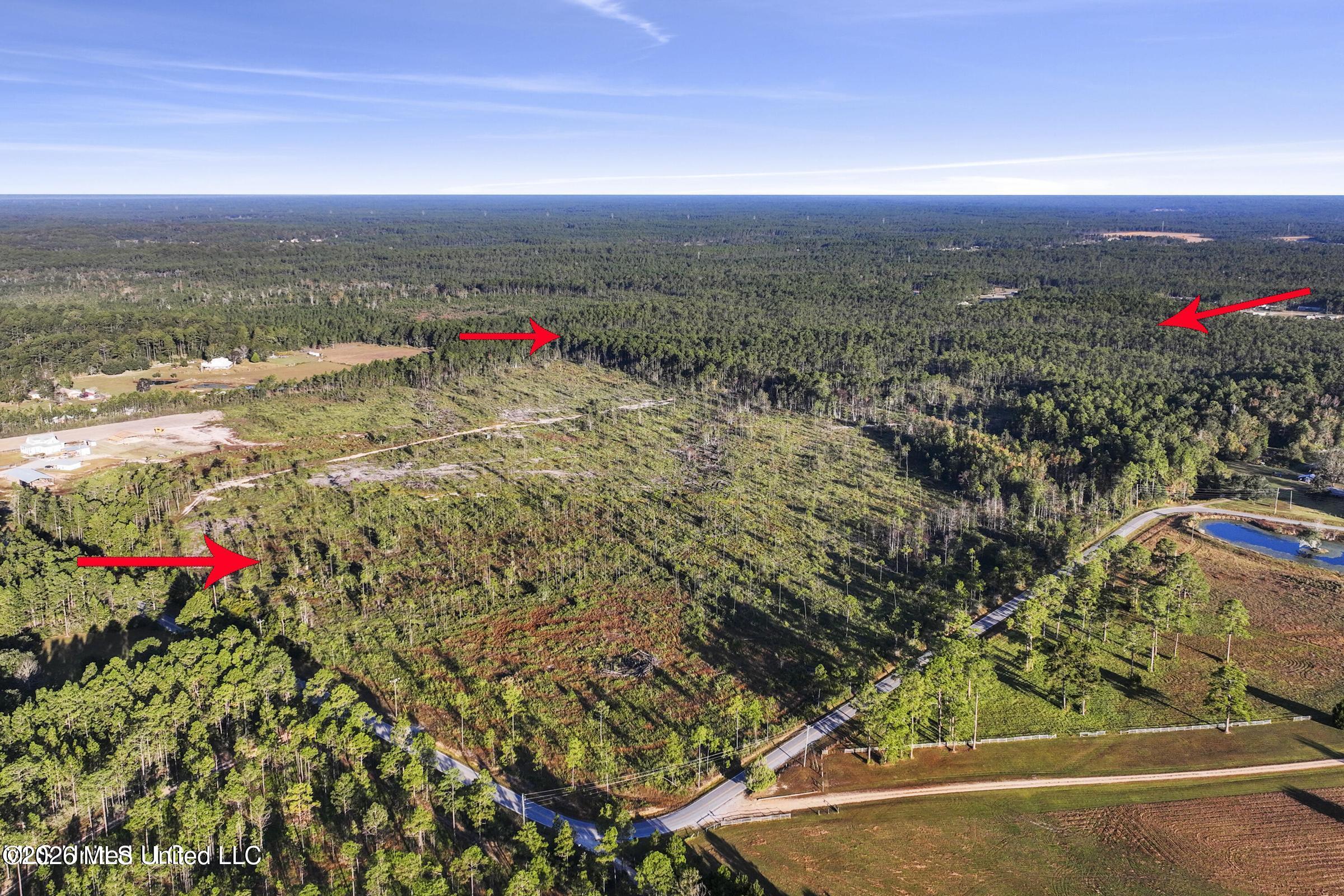 Jim Ramsay Road Vancleave, MS 39565 - Photo 7 of 21 20250110145018300845000000-o