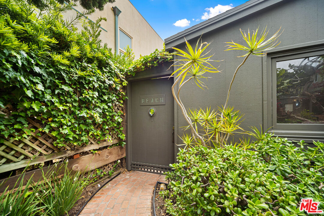 31008 Broad Beach Road Malibu, CA 90265 - Photo 38 of 41 a view of a couple of flowers in front of a glass door