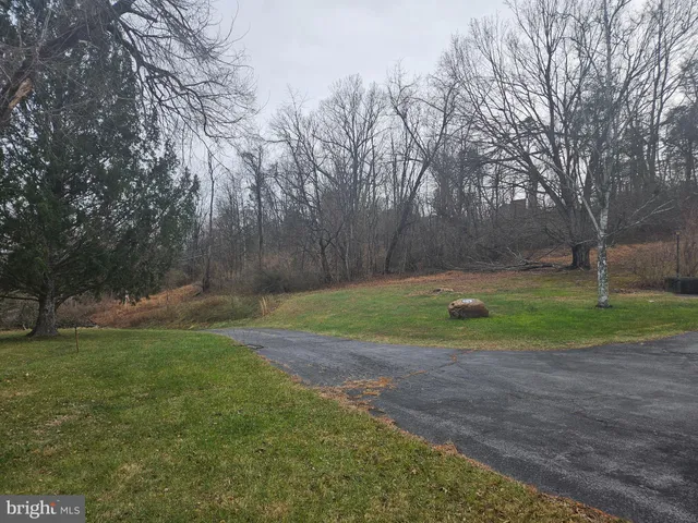 a view of a field with trees