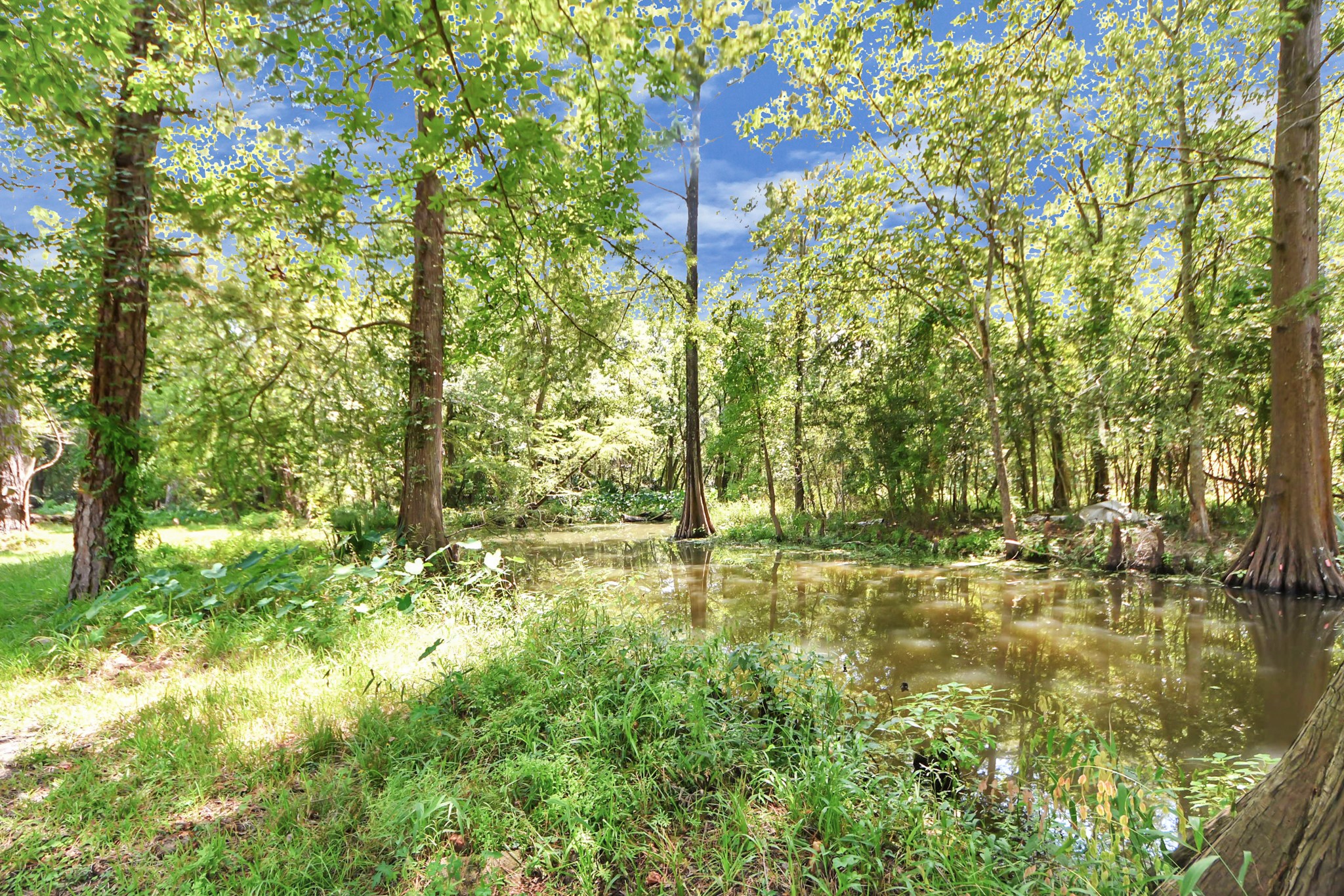 238 Waterfall Drive Huffman, TX 77336 - Photo 39 of 40 a backyard of a house with lots of green space and fountain in the back
