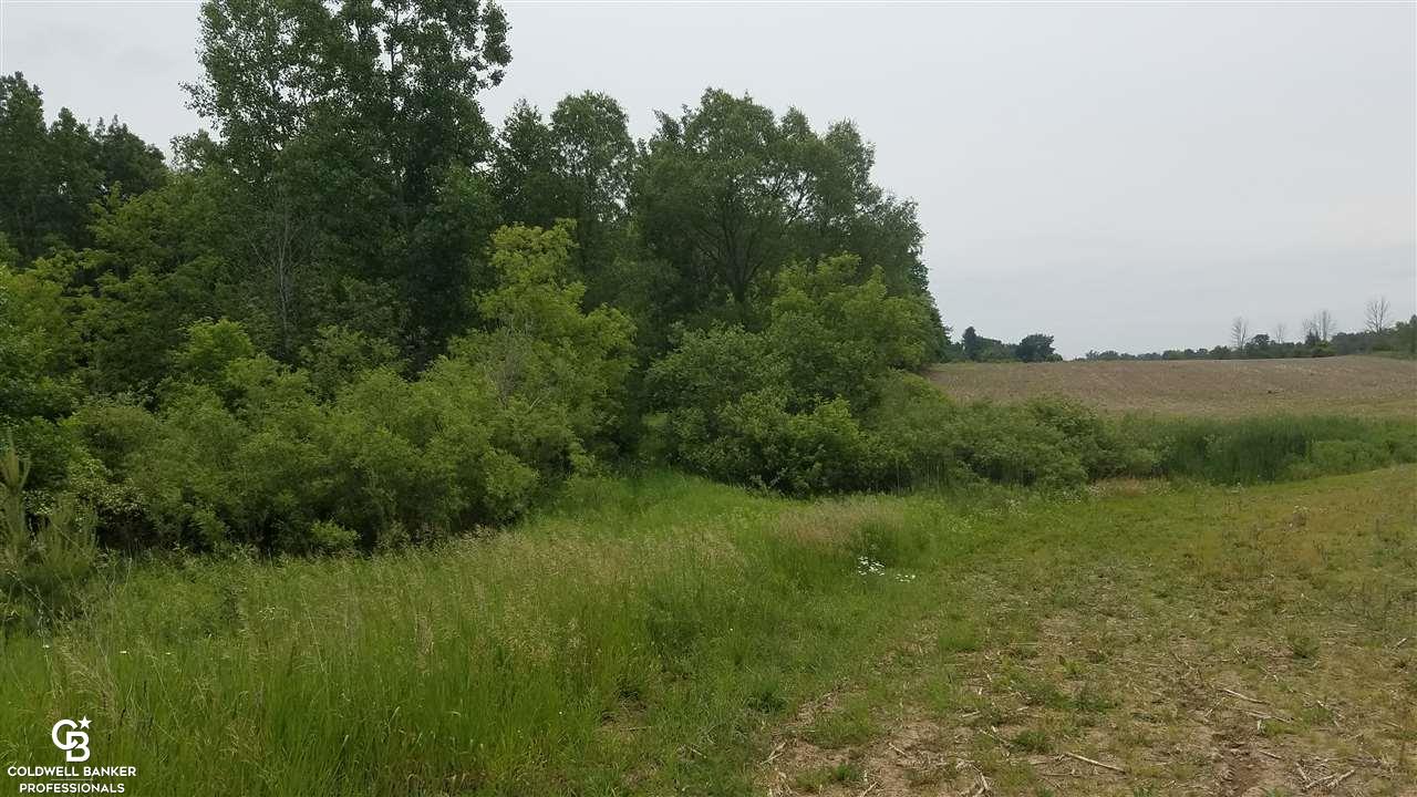 Palms Ville Palms, MI 48465 - Photo 10 of 13