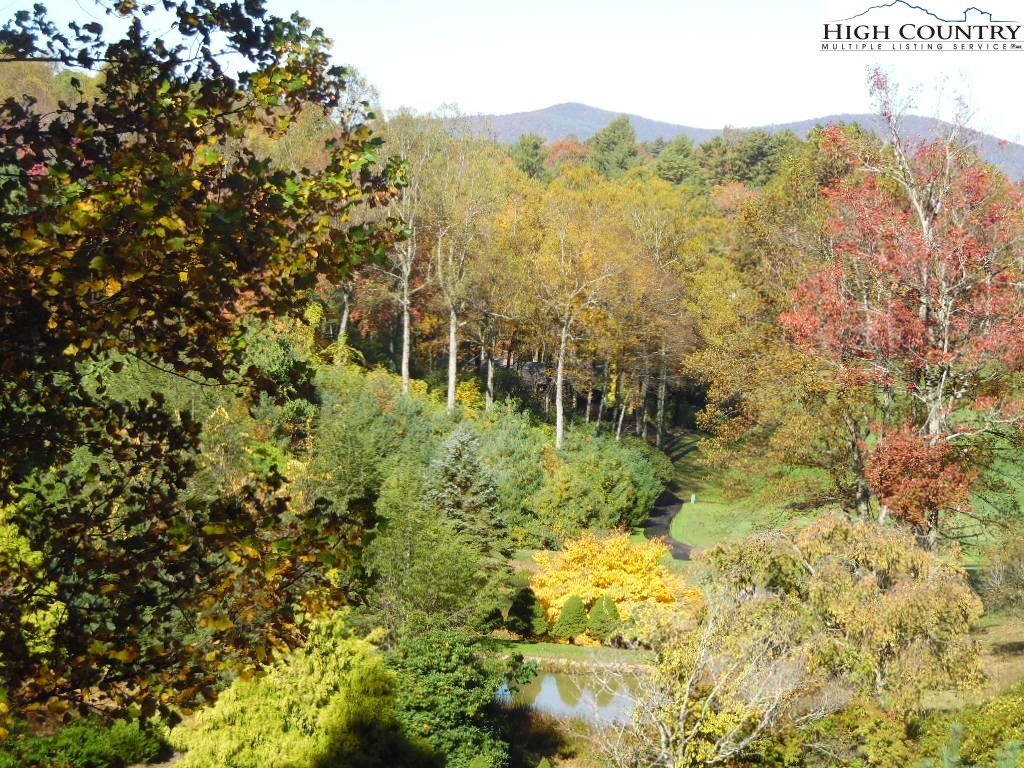 712 Country Club Road Glade Valley, NC 28627 - Photo 35 of 36 Gallery Image 35