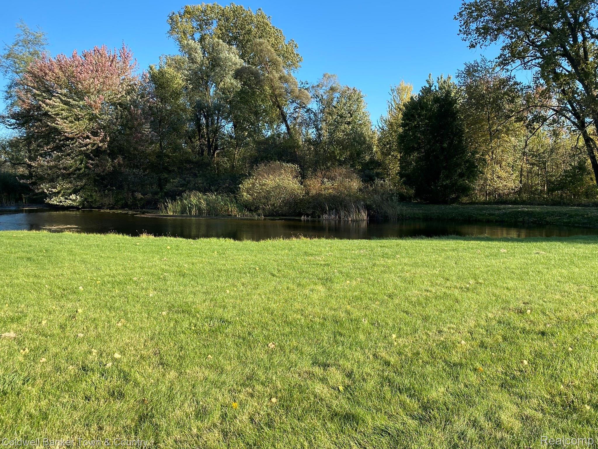 11261 West Iosco Road Webberville, MI 48892 - Photo 13 of 14 Private back yard with abundance of wild life