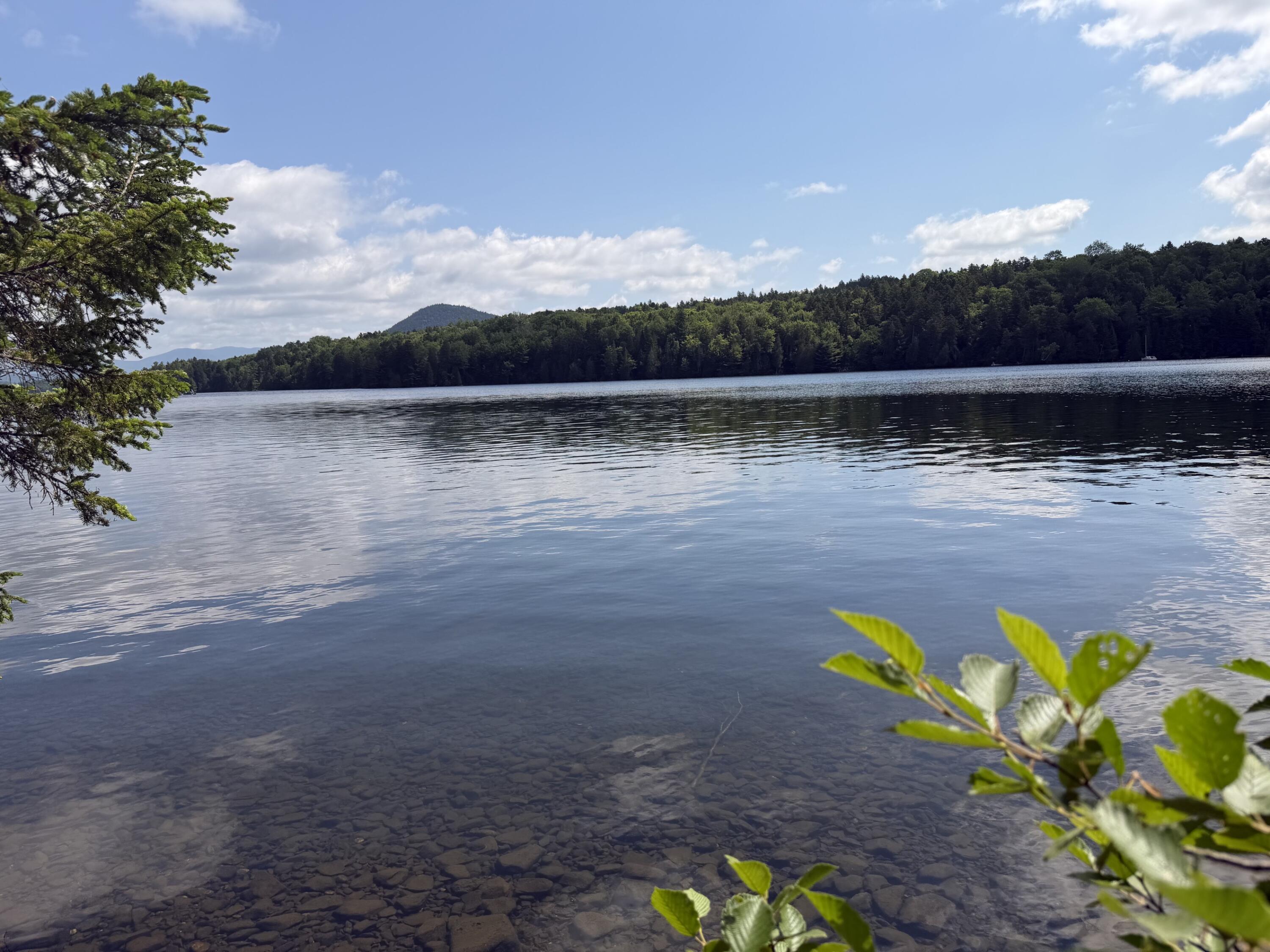 Lower Wilson Pond 1