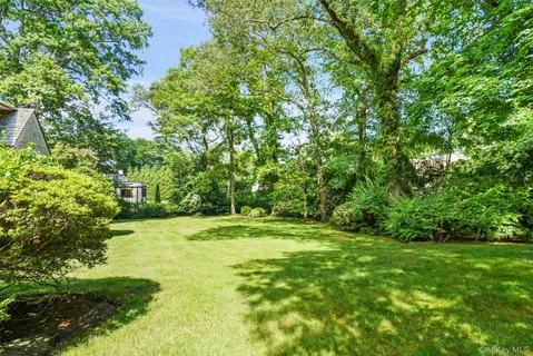 a view of a grassy field with trees in the background