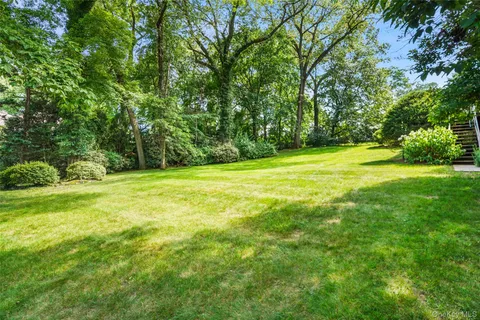 a view of a field with a tree
