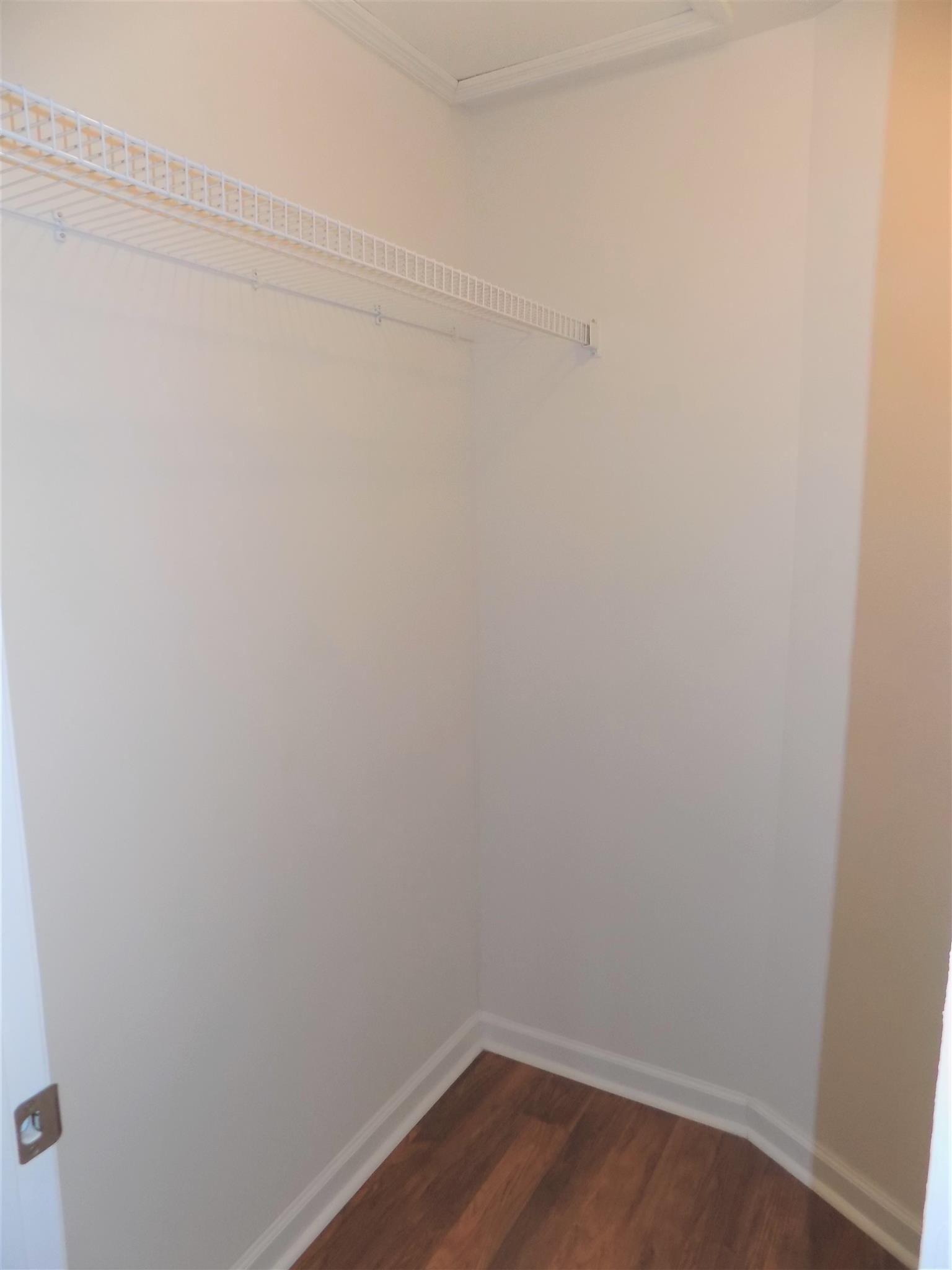4430 Cairo Bend Road Lebanon, TN 37087 - Photo 12 of 19 Large closet in master