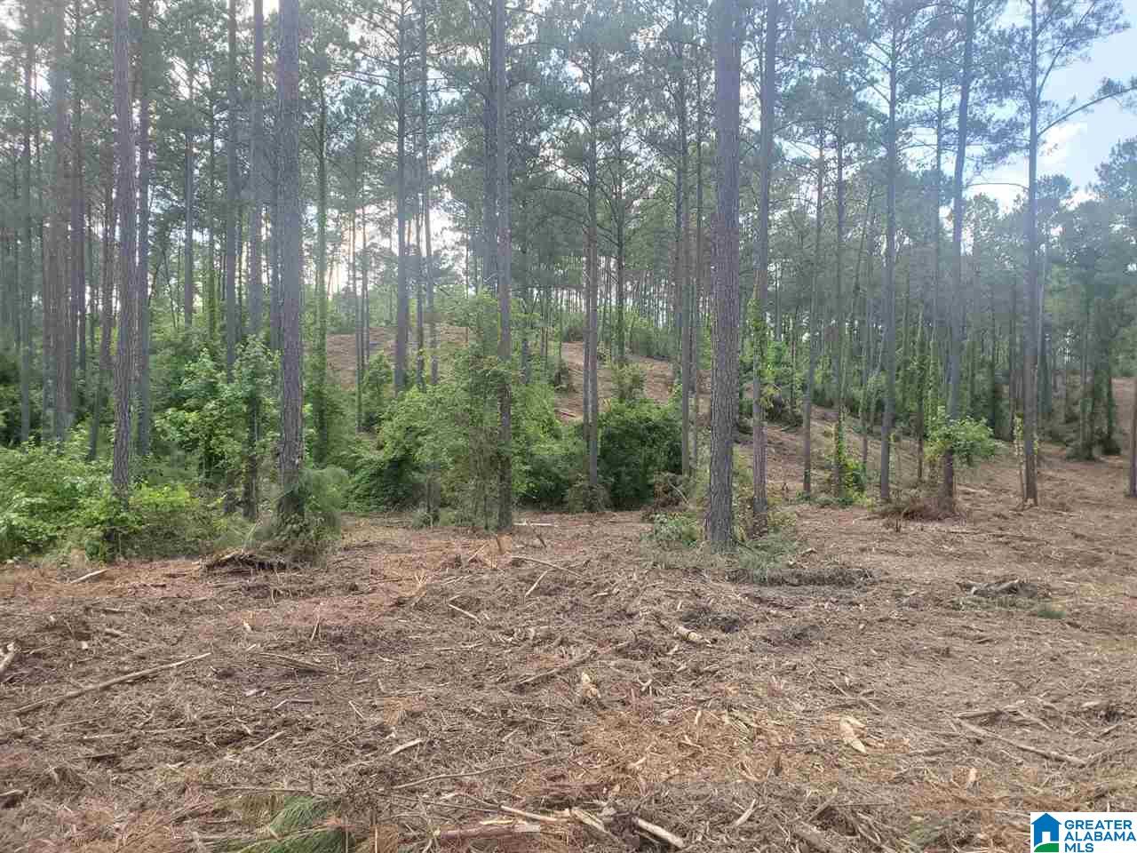 .2 Gould Road, Unit 3 Columbiana, AL 35051 - Photo 9 of 11