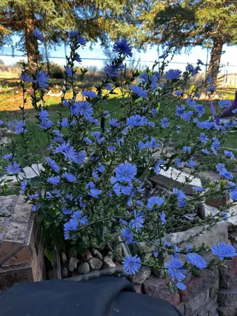 $349,000 | 132 Mountain View Drive, Thermopolis, WY 82443