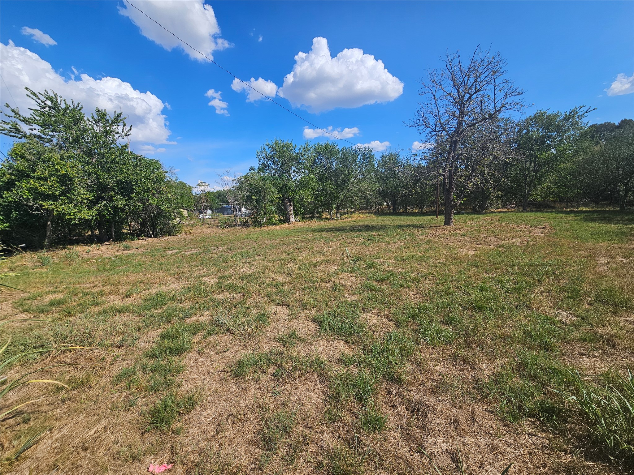 Mature trees frame a grassy, open lot under clear blue skies.