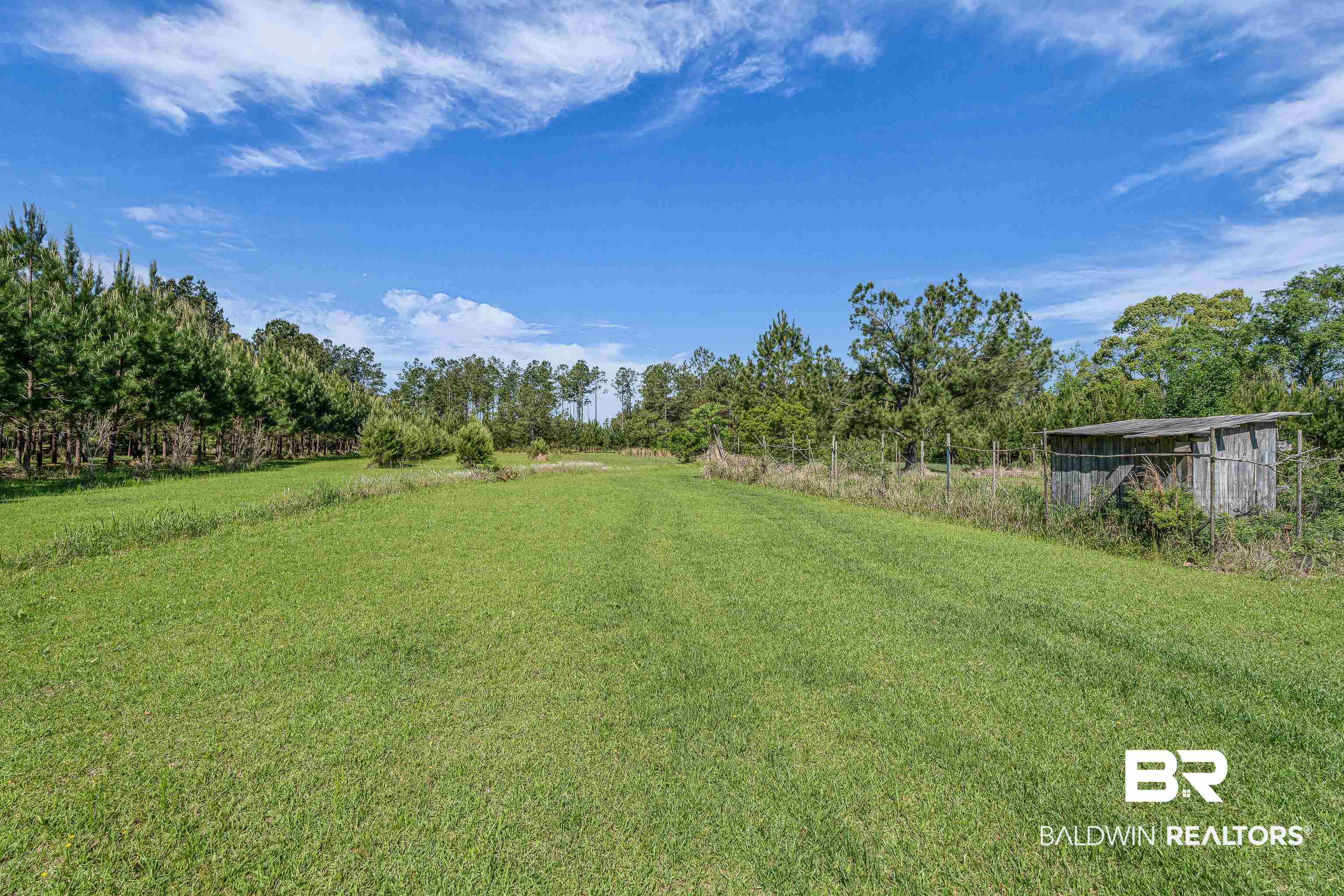 18255 Cactus Court Elberta, AL 36530 - Photo 49 of 53 View of green lawn