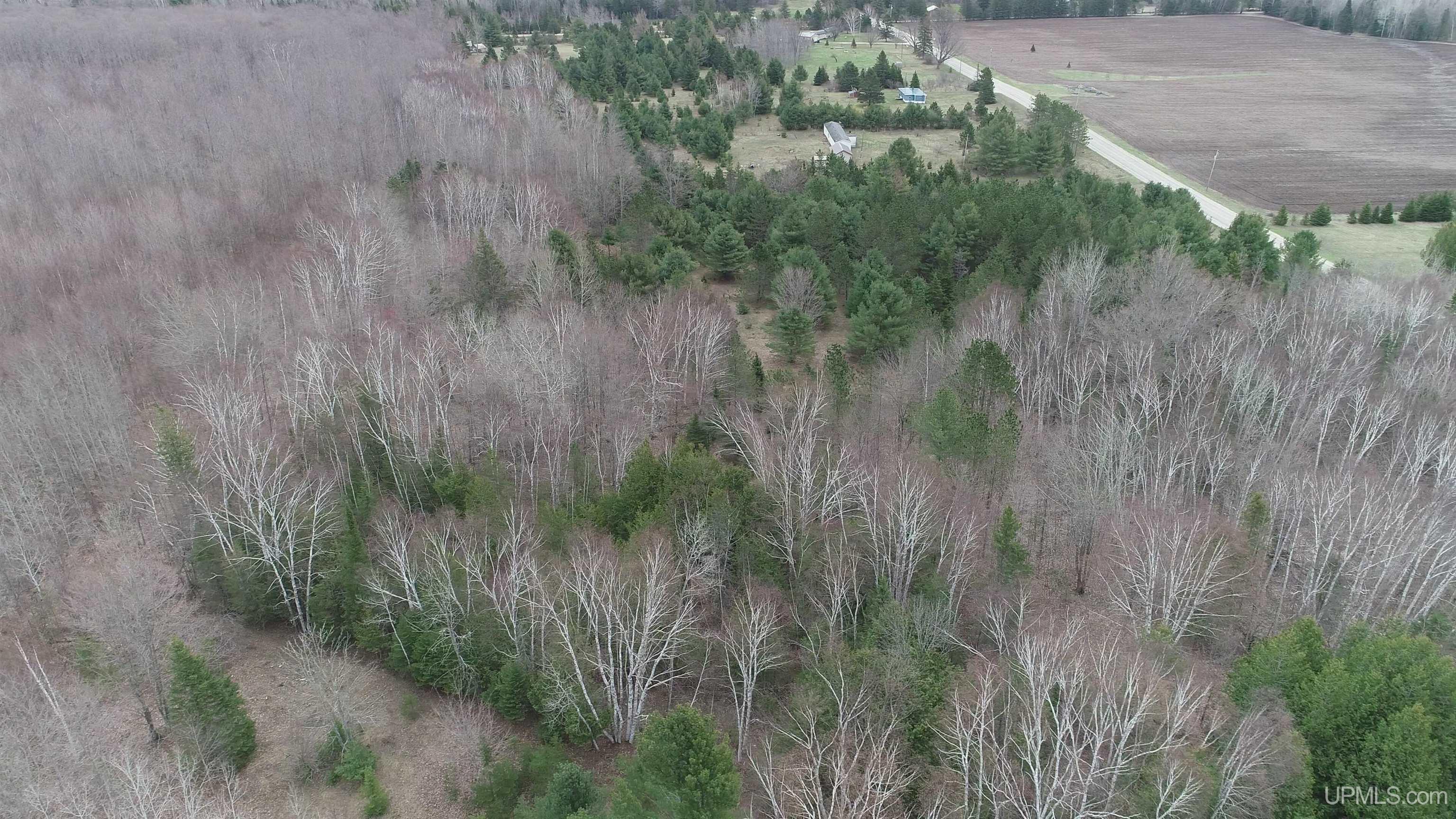 East 20 Quarry Road Gulliver, MI 49840 - Photo 27 of 47