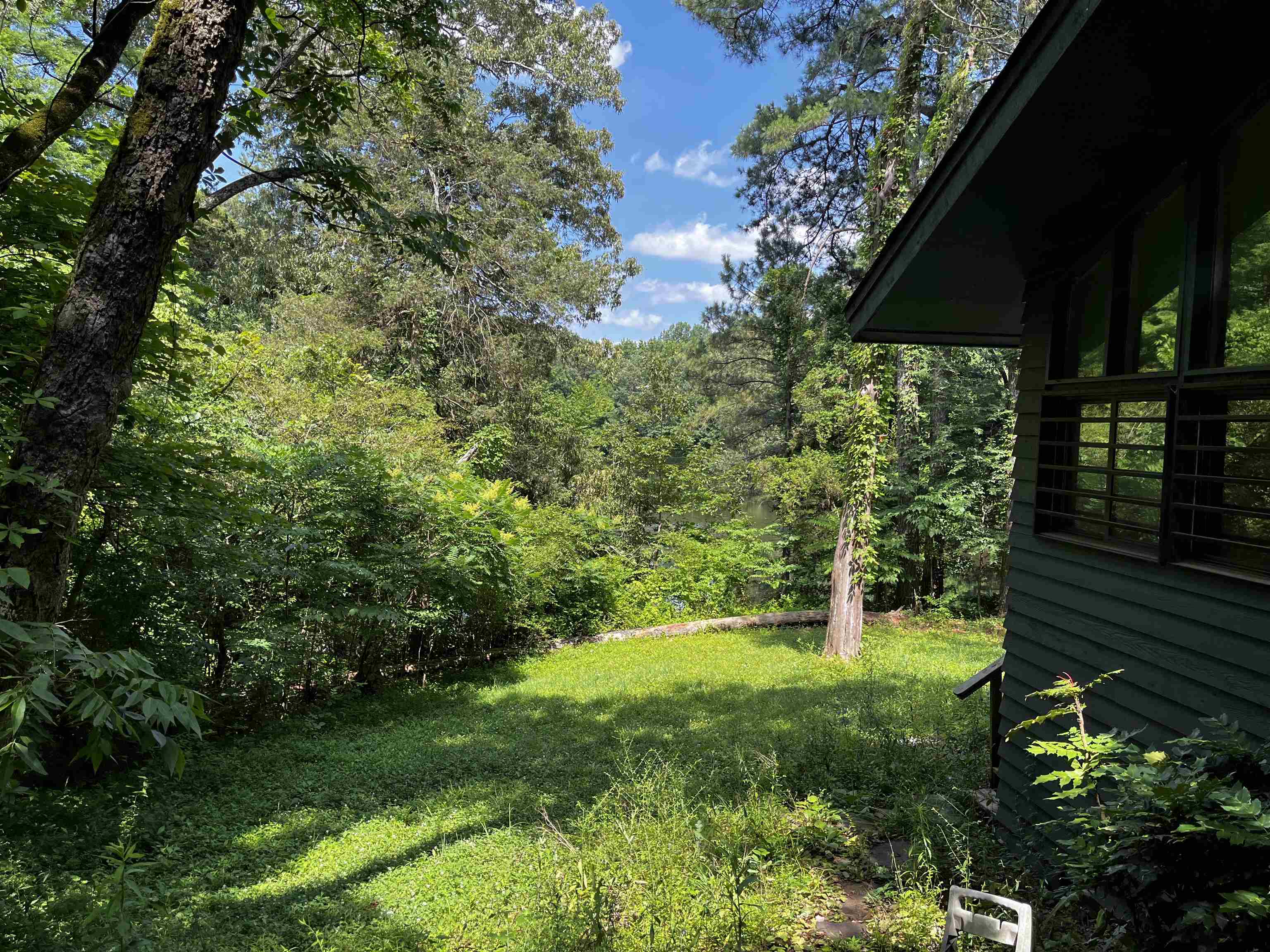 4258 Old Brownsville Road Memphis, TN 38135 - Photo 11 of 40 a view of yard with green space