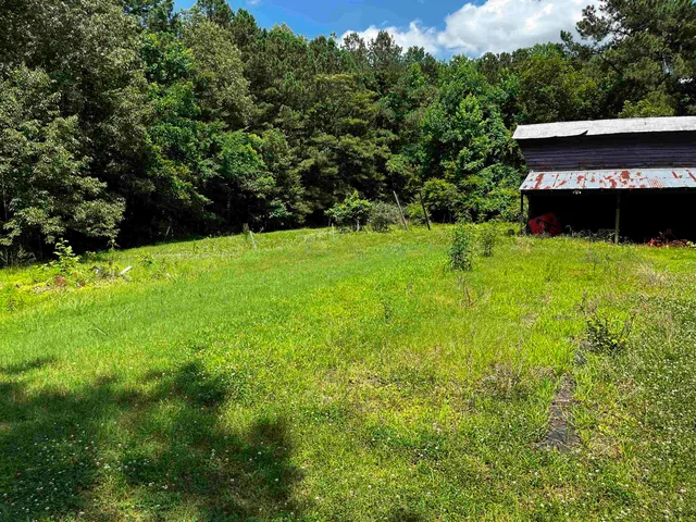 a view of a back yard