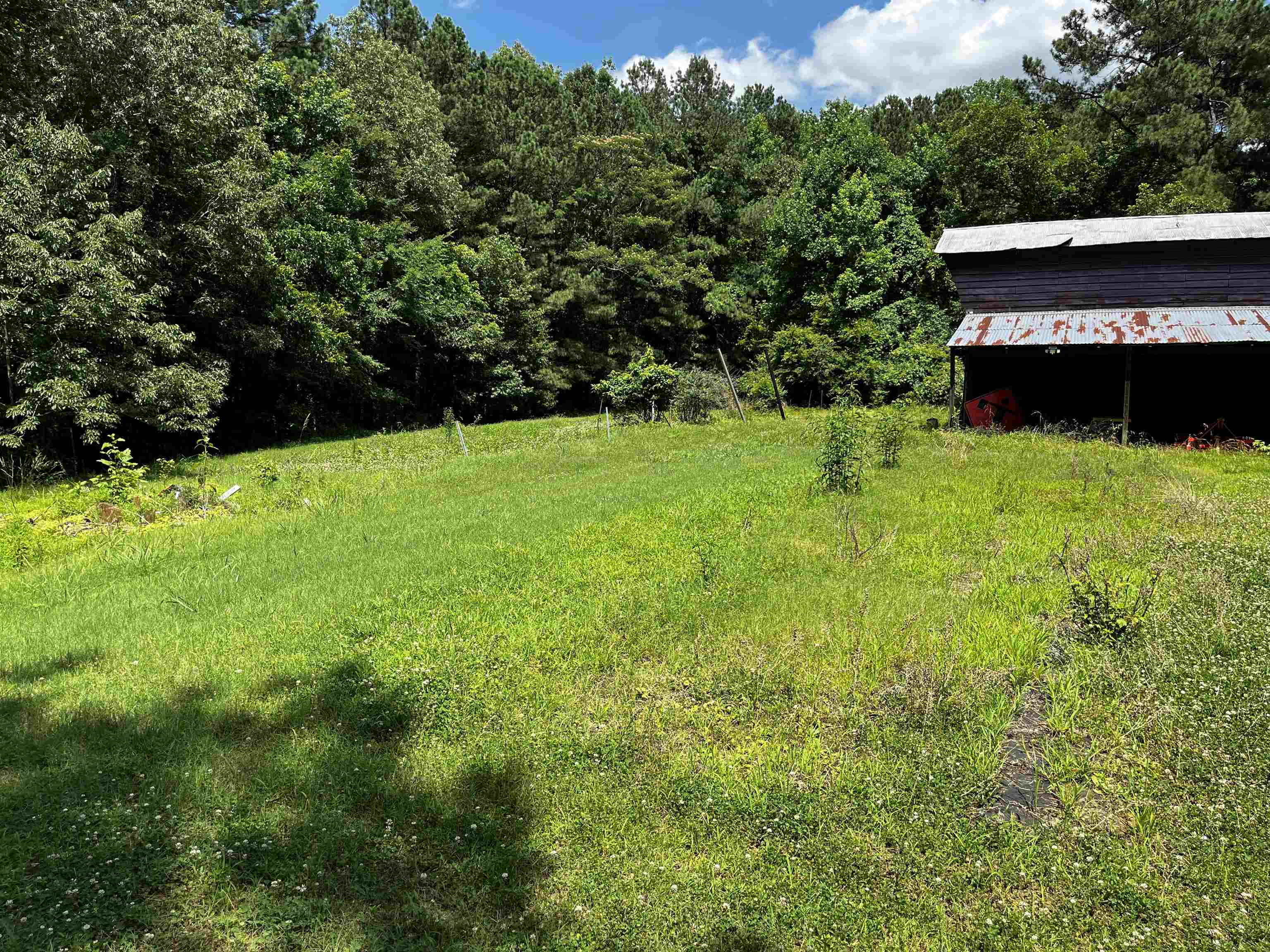 4258 Old Brownsville Road Memphis, TN 38135 - Photo 17 of 40 a view of a back yard