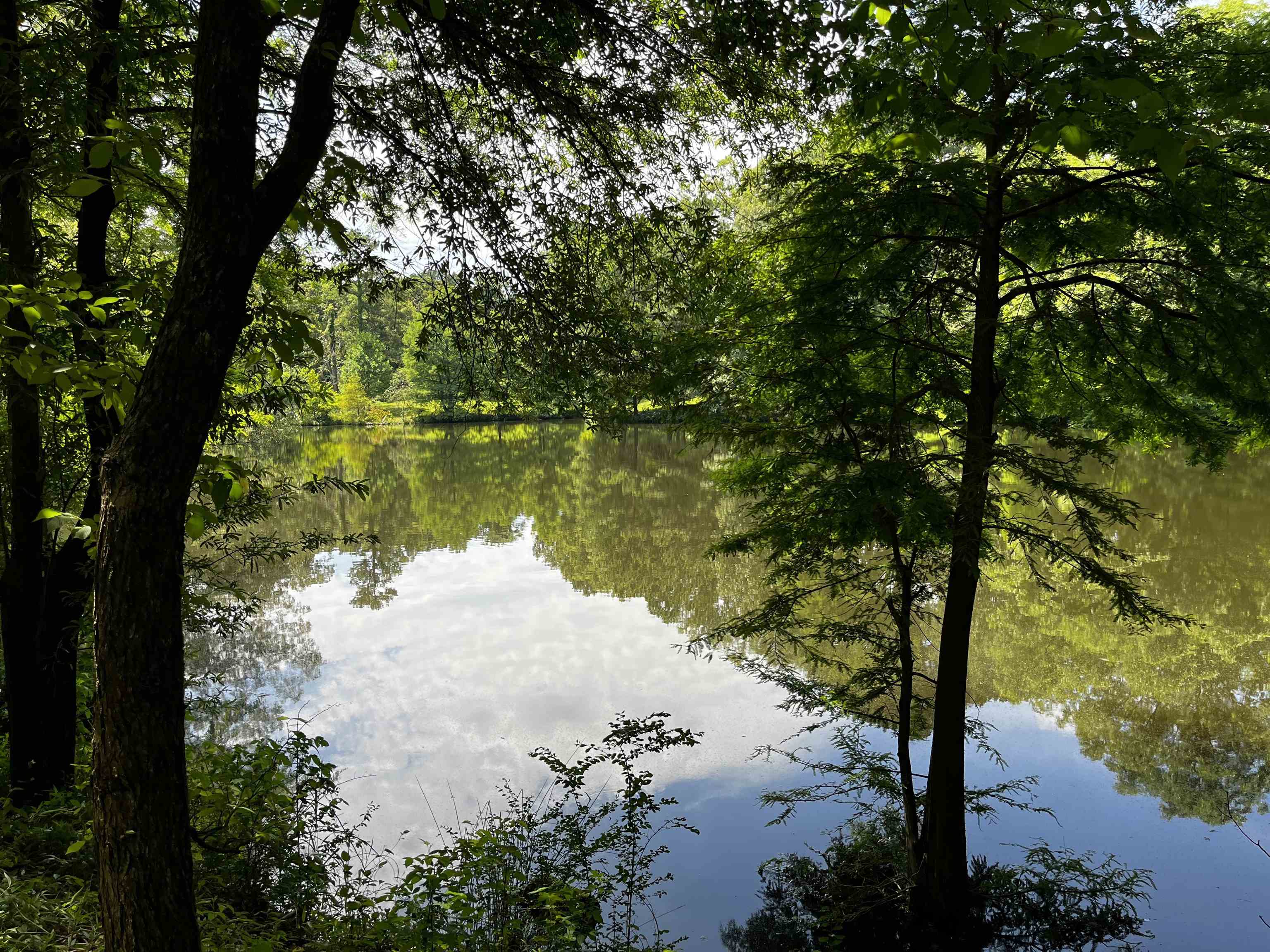 4258 Old Brownsville Road Memphis, TN 38135 - Photo 25 of 40 a view of lake from a lake