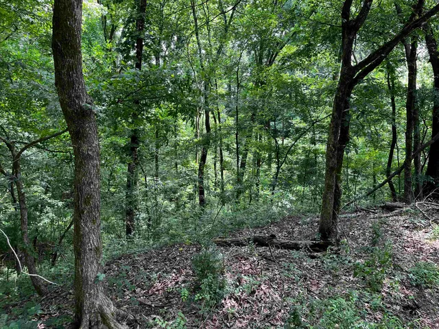 a view of lake from a yard