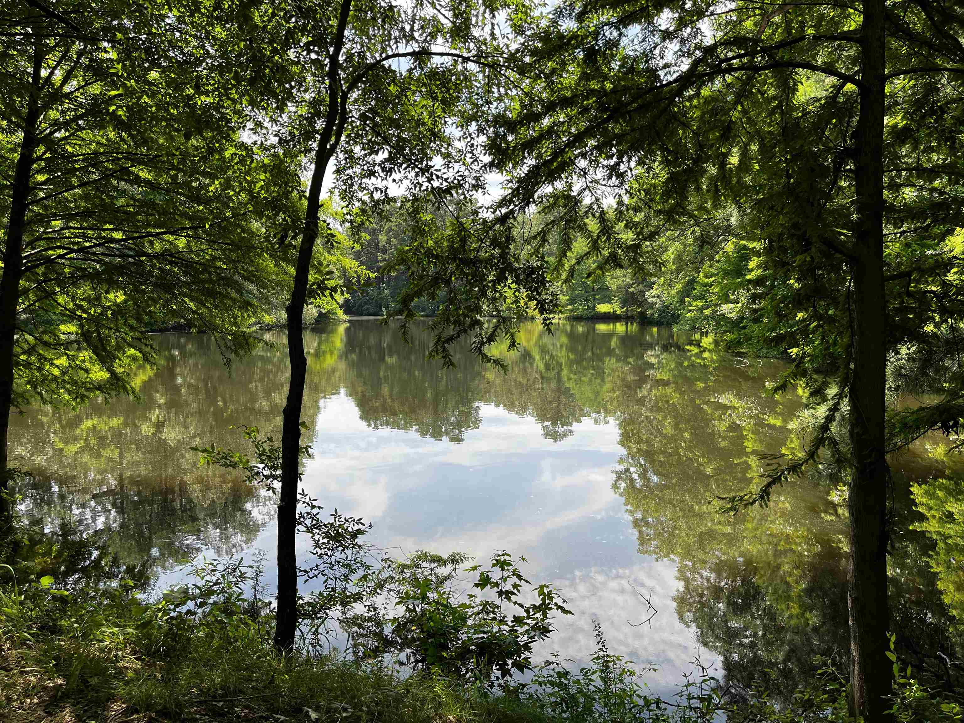 4258 Old Brownsville Road Memphis, TN 38135 - Photo 28 of 40 a view of lake from a yard