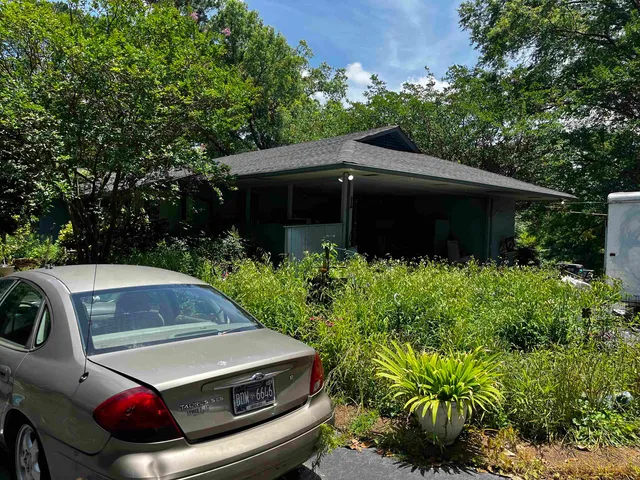a view of a yard with plants and large trees