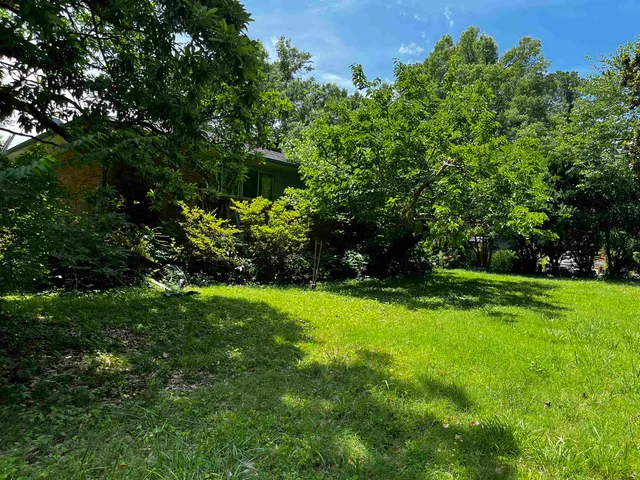 a view of a trees in a yard with large trees