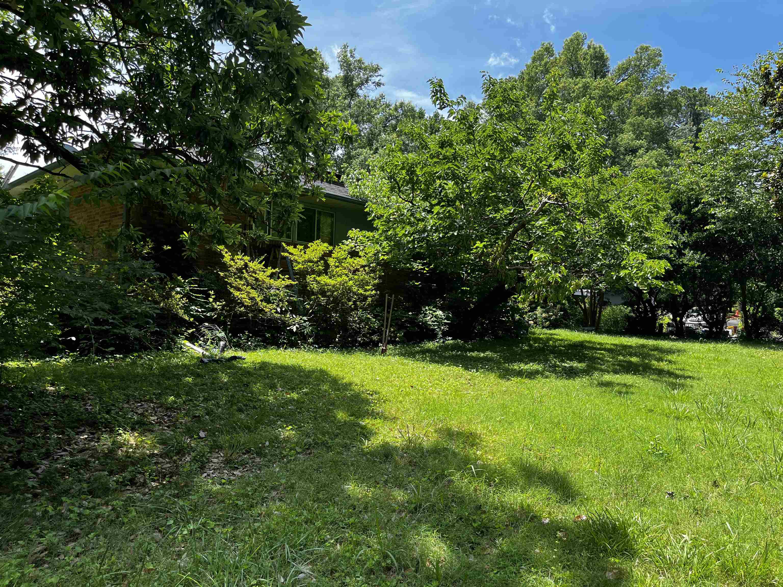 4258 Old Brownsville Road Memphis, TN 38135 - Photo 32 of 40 a view of a yard with plants and large trees