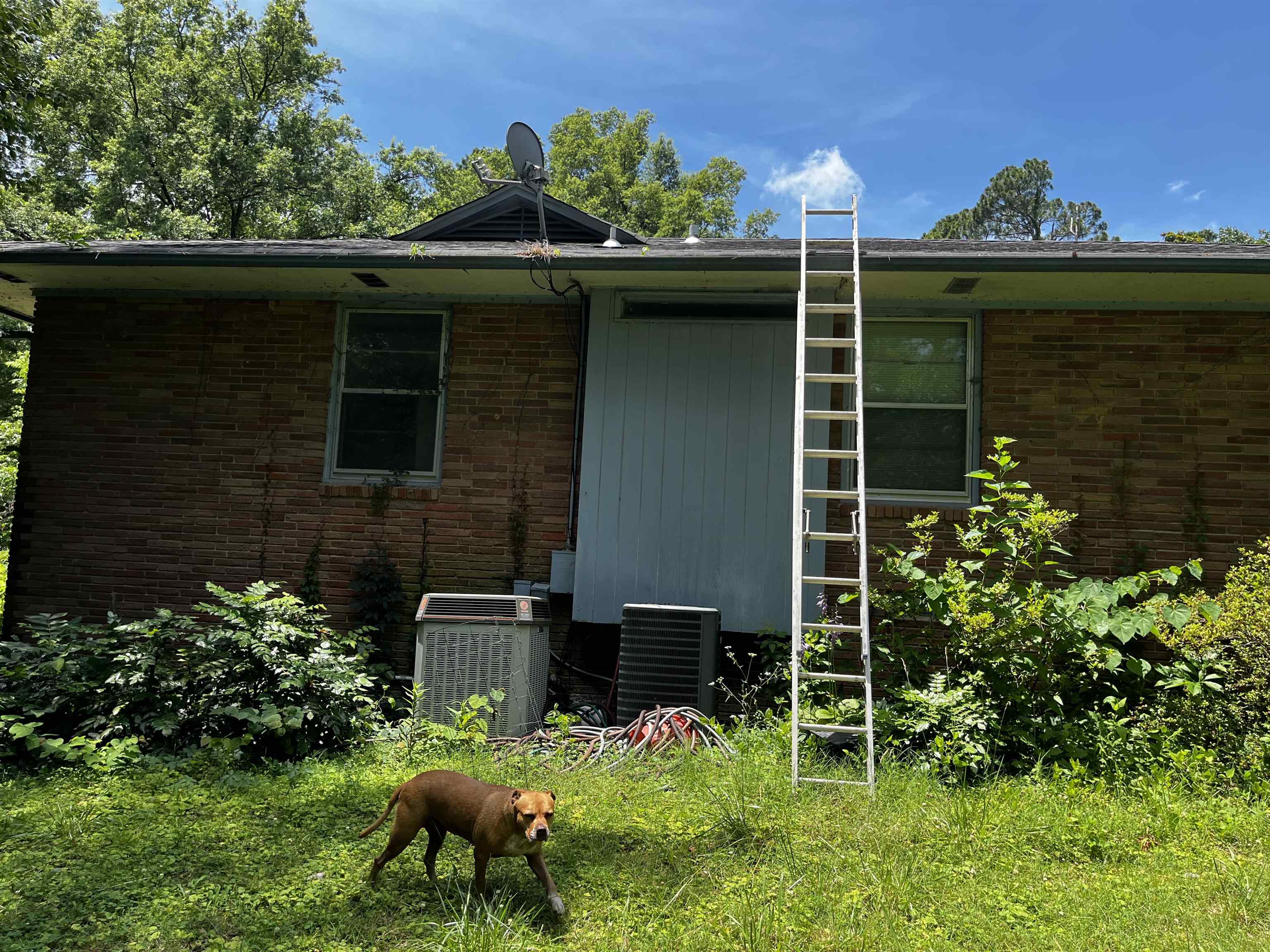 4258 Old Brownsville Road Memphis, TN 38135 - Photo 33 of 40 a front view of a house with a garden
