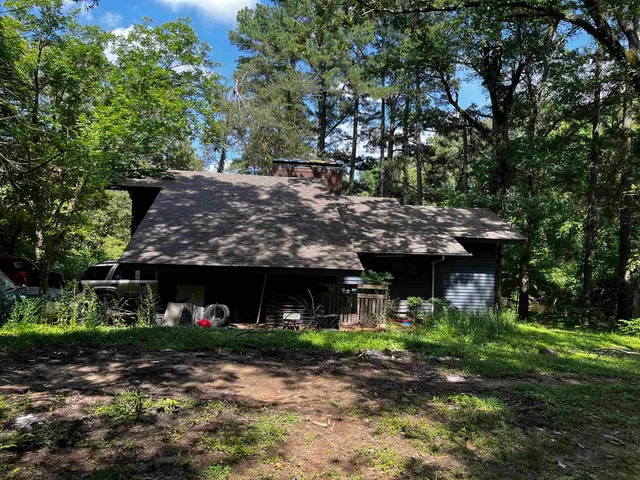 a view of a forest with trees