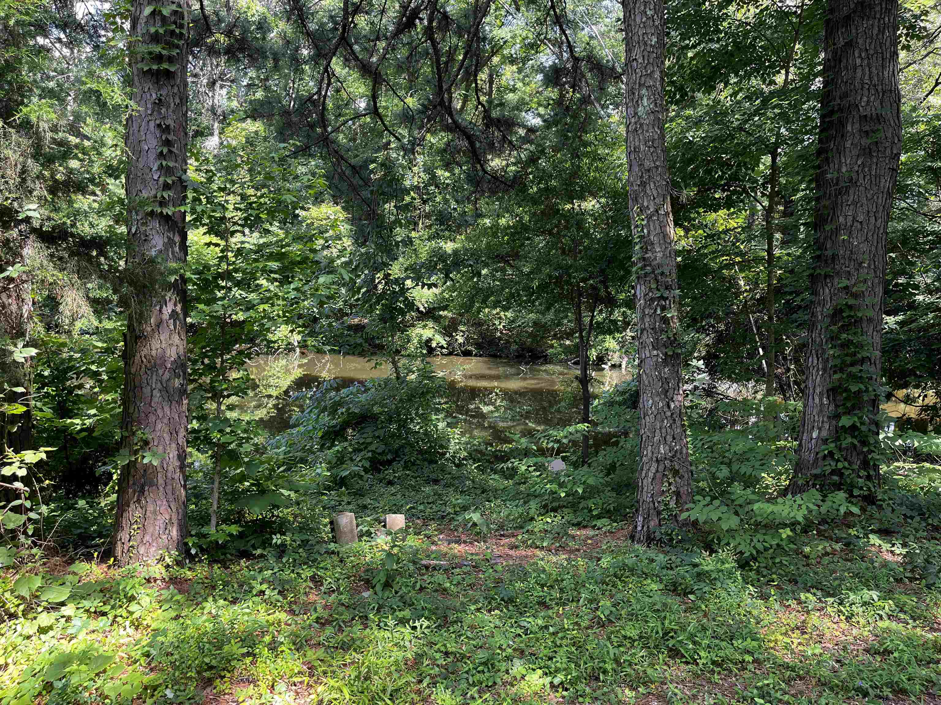 4258 Old Brownsville Road Memphis, TN 38135 - Photo 7 of 40 a view of a forest with trees