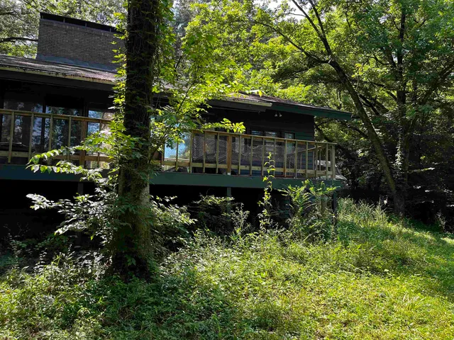 a view of house with a yard