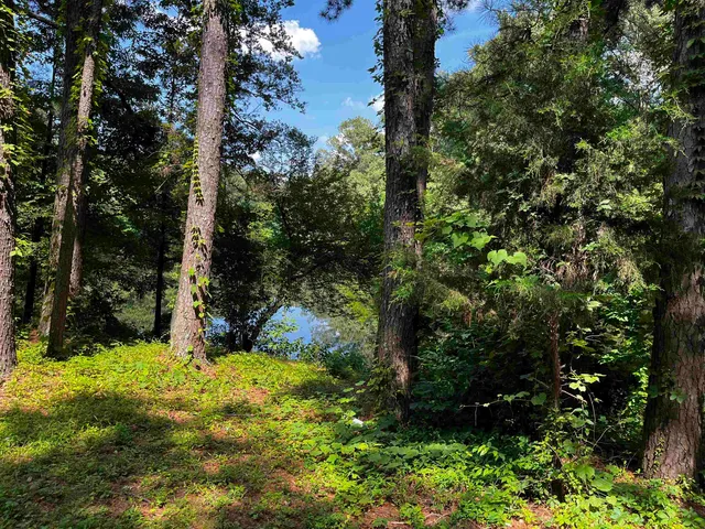 a view of yard with green space