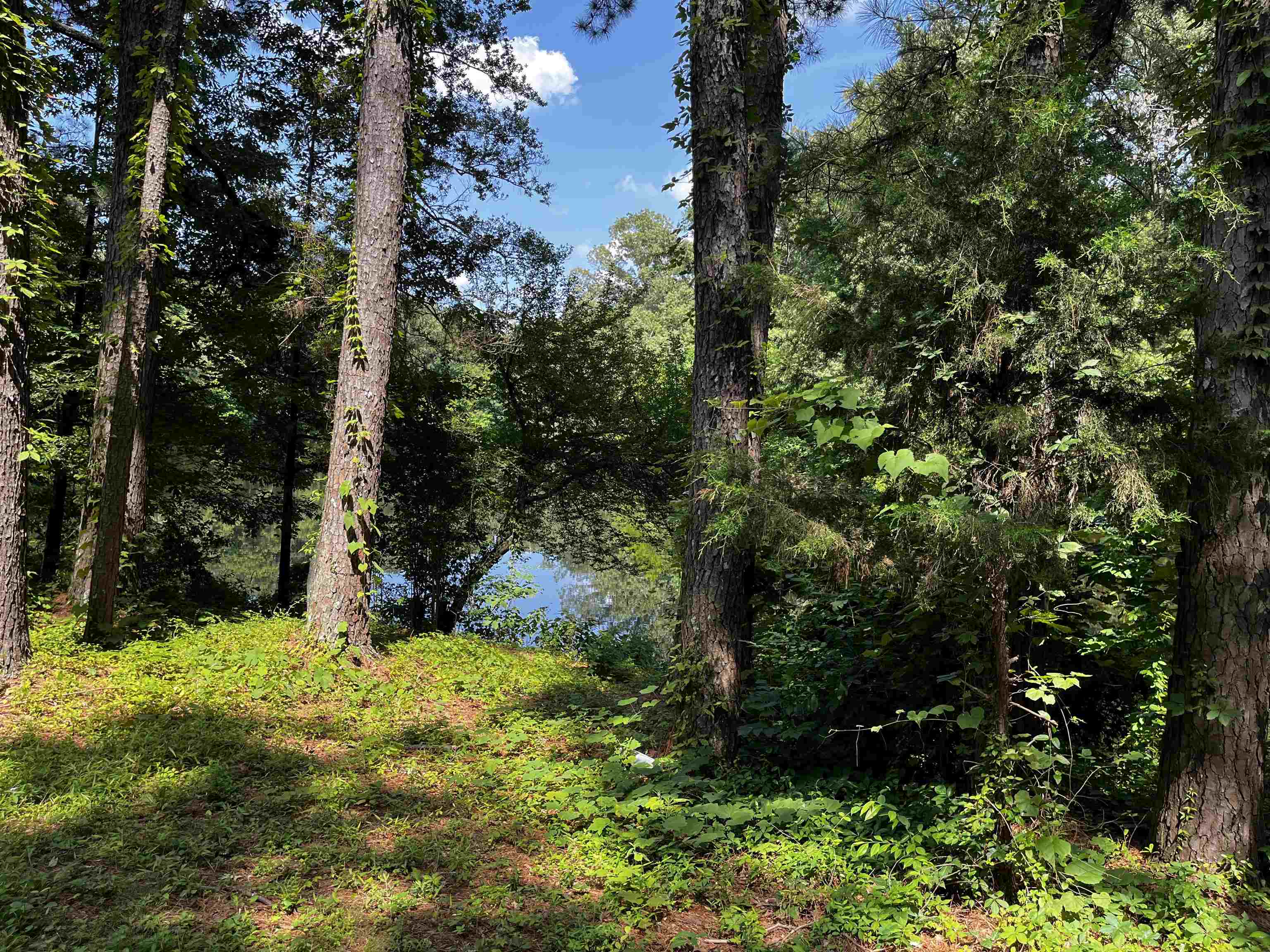 4258 Old Brownsville Road Memphis, TN 38135 - Photo 10 of 40 a view of backyard of house