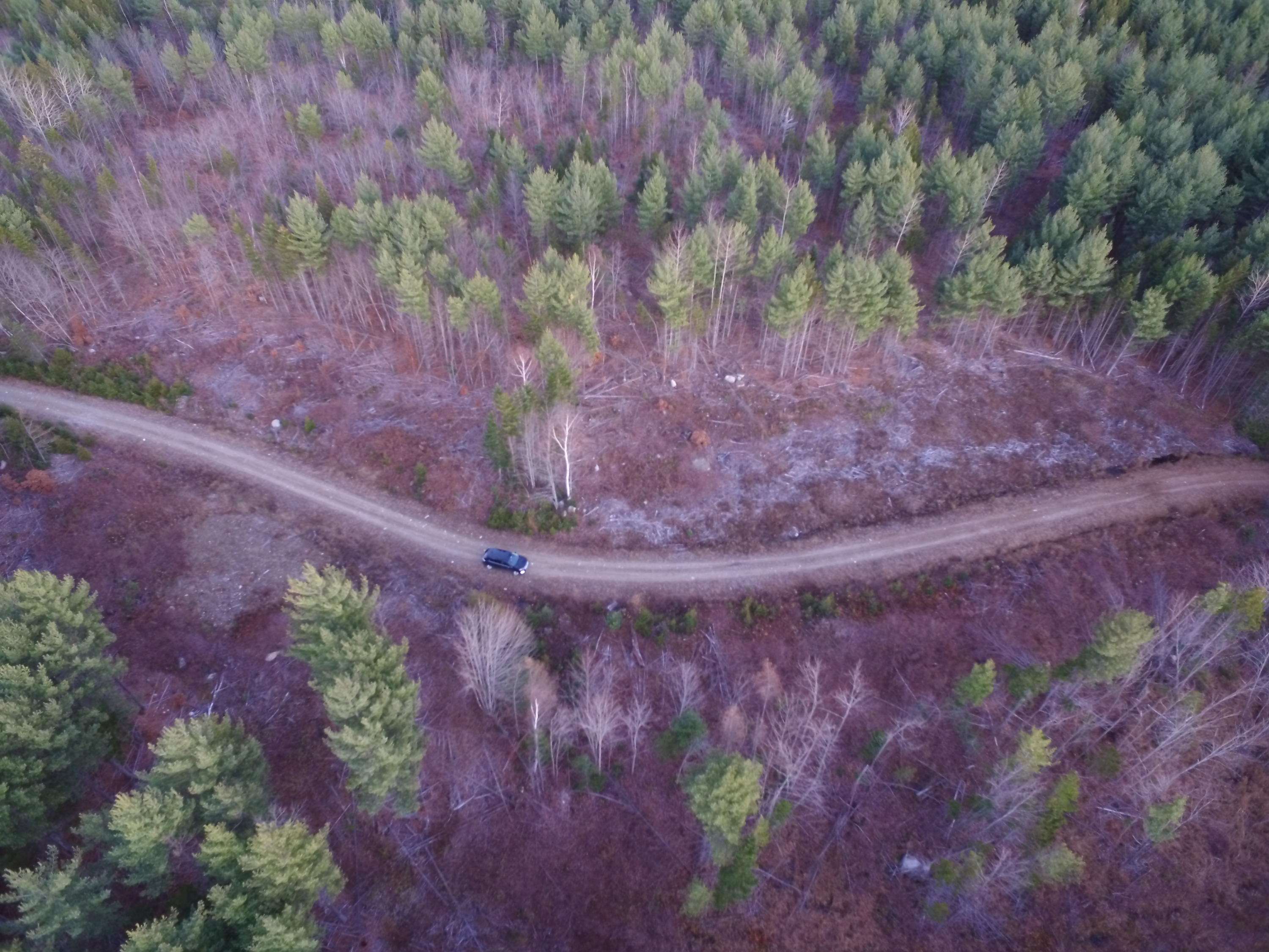 Lot 40 Miller Ridge Road Howland, ME 04448 - Photo 2 of 8 DJI_0309