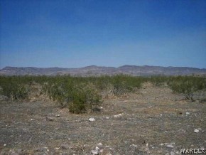 North Eden Road Golden Valley, AZ 86413 - Photo 2 of 4 a view of a field with an ocean